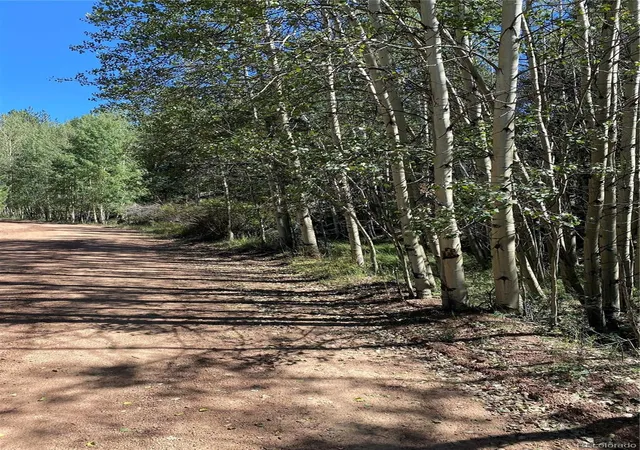 Photo 4 of Land for sale at 452 Wilson Dr, Florissant, CO 80816 | MLS# 9496933 | Listing updated on 2026-04-04