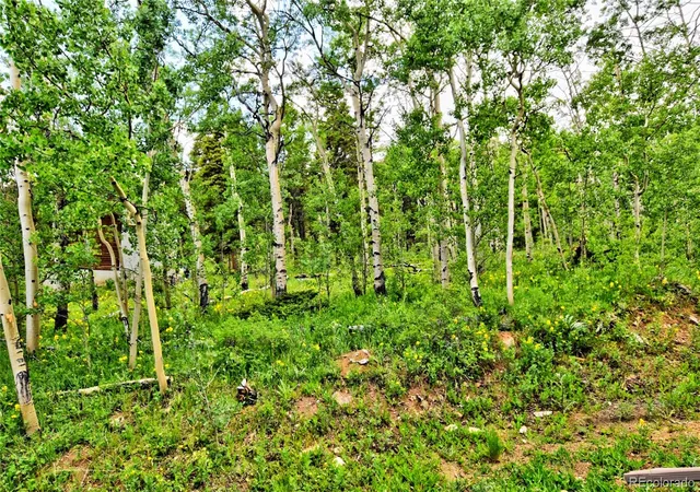 Homes for sale in Fairplay, CO | 605 Lamb Mountain Rd, Fairplay, CO 80440 | MLS# 5556144