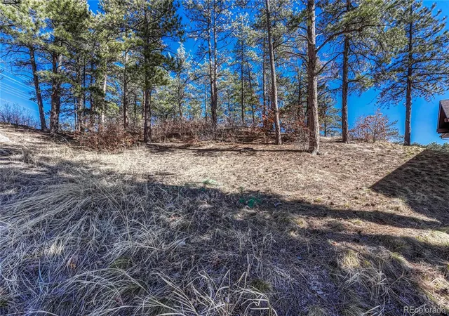Homes for sale in Castle Rock, CO | 2111 Ramblewood Ct, Castle Rock, CO 80104 | MLS# 4705593
