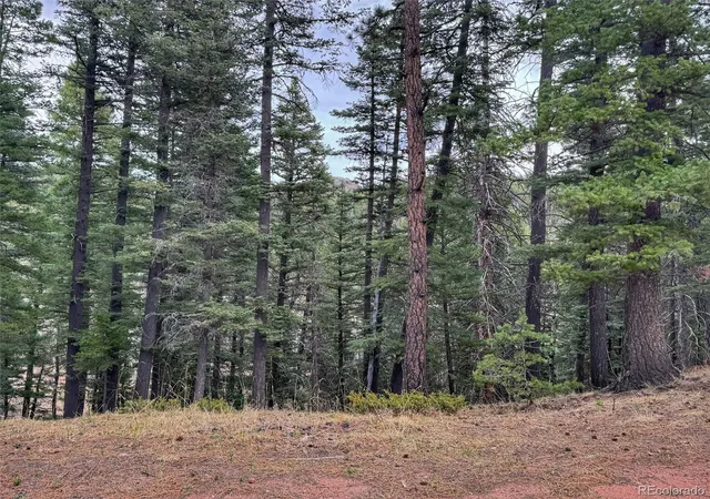 3rd image of 132 Aspen Acres, Rye, CO 81252 | MLS# 4052808