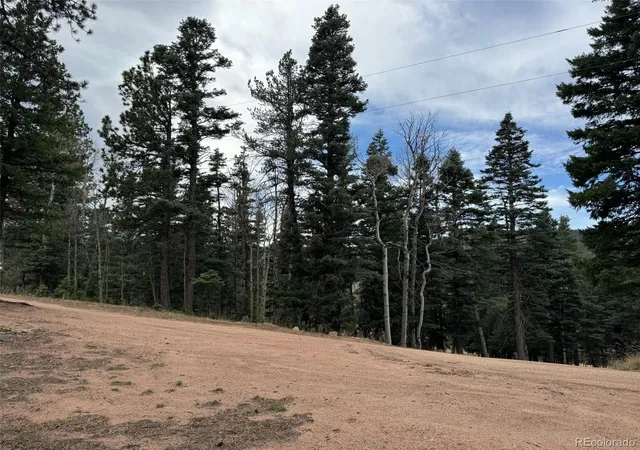 4th image of 132 Aspen Acres, Rye, CO 81252 | MLS# 4052808