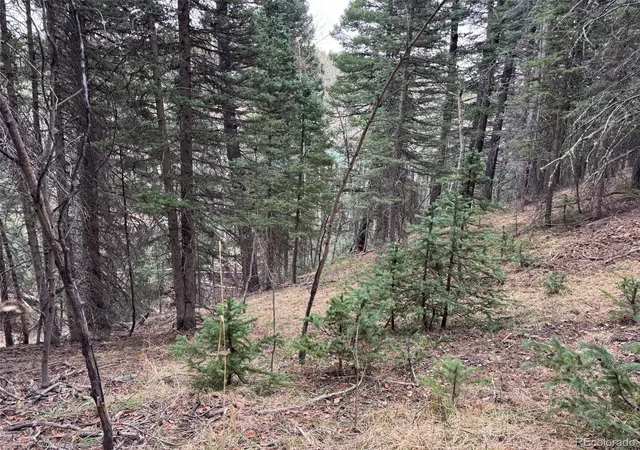 5th image of 132 Aspen Acres, Rye, CO 81252 | MLS# 4052808