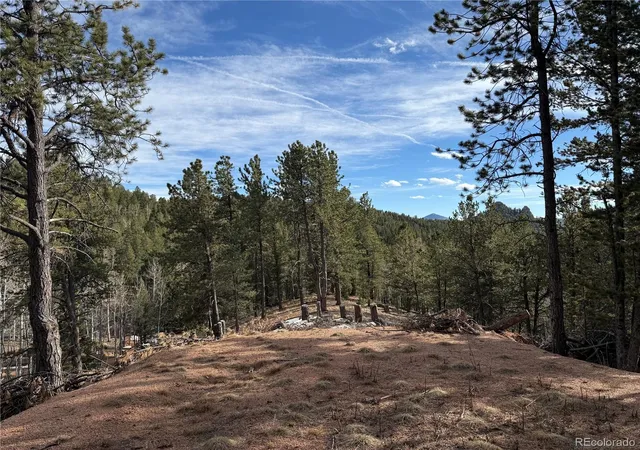 Homes for sale in Divide, CO | 162 Eagle Dr, Divide, CO 80813 | MLS# 2512280