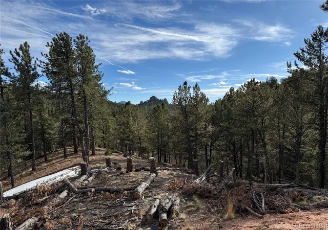 Homes for sale in Divide, CO | 162 Eagle Dr, Divide, CO 80813 | MLS# 2512280