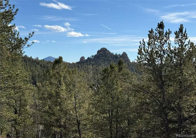 Homes for sale in Divide, CO | 162 Eagle Dr, Divide, CO 80813 | MLS# 2512280