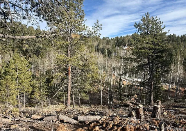 Homes for sale in Divide, CO | 162 Eagle Dr, Divide, CO 80813 | MLS# 2512280