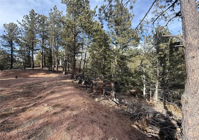 Homes for sale in Divide, CO | 162 Eagle Dr, Divide, CO 80813 | MLS# 2512280