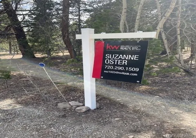 Homes for sale in Fairplay, CO | 901 Bluestem Wy, Fairplay, CO 80440 | MLS# 3764027