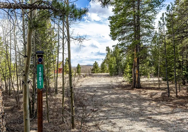 Homes for sale in Fairplay, CO | 901 Bluestem Wy, Fairplay, CO 80440 | MLS# 3764027