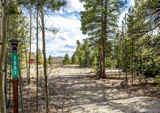 Homes for sale in Fairplay, CO | 901 Bluestem Wy, Fairplay, CO 80440 | MLS# 3764027