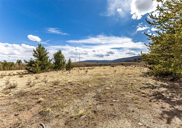 Homes for sale in Fairplay, CO | 901 Bluestem Wy, Fairplay, CO 80440 | MLS# 3764027