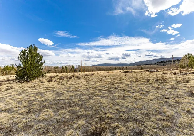 Homes for sale in Fairplay, CO | 901 Bluestem Wy, Fairplay, CO 80440 | MLS# 3764027