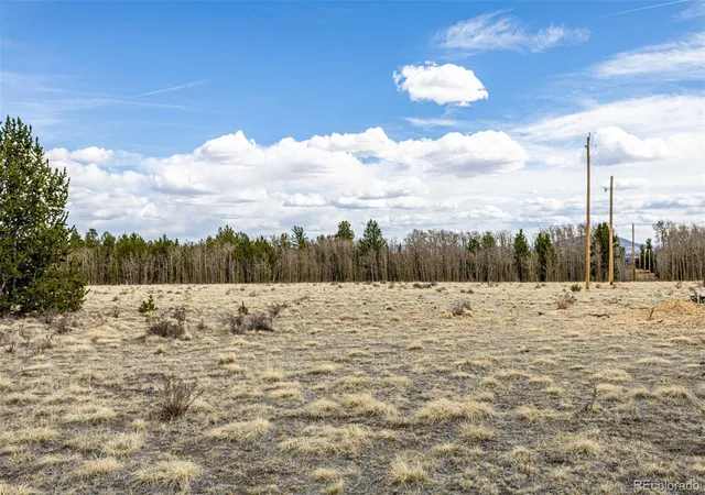 Homes for sale in Fairplay, CO | 901 Bluestem Wy, Fairplay, CO 80440 | MLS# 3764027