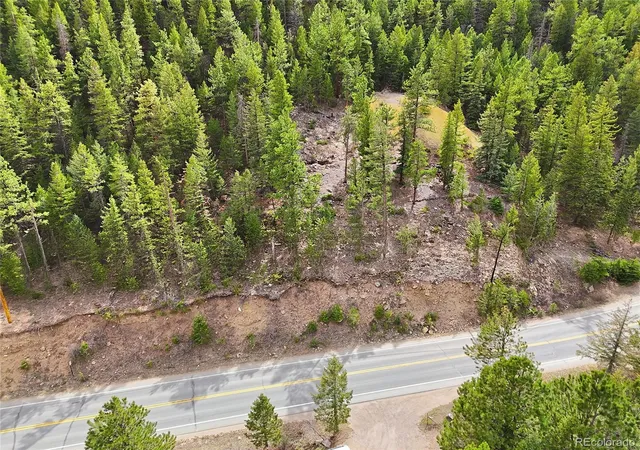 Homes for sale in Idaho Springs, CO | 2238 Stanley Rd, Idaho Springs, CO 80452 | MLS# 4956729
