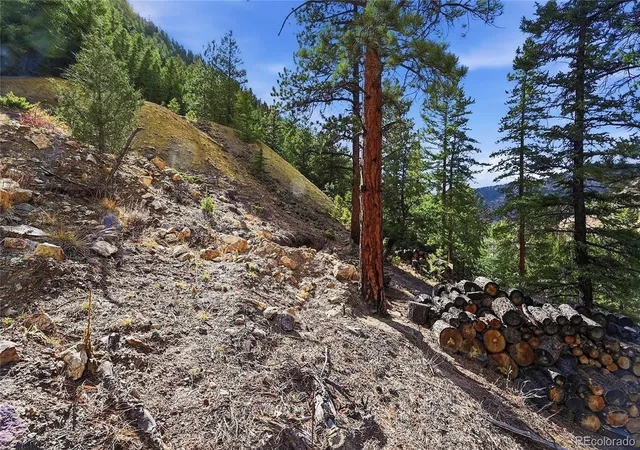 Homes for sale in Idaho Springs, CO | 2238 Stanley Rd, Idaho Springs, CO 80452 | MLS# 4956729