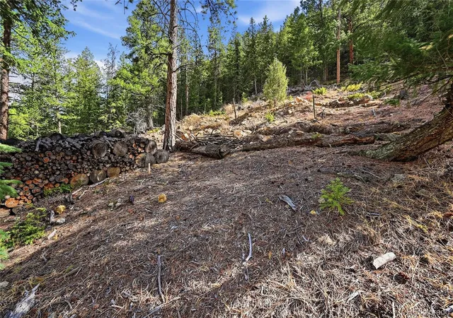 Homes for sale in Idaho Springs, CO | 2238 Stanley Rd, Idaho Springs, CO 80452 | MLS# 4956729
