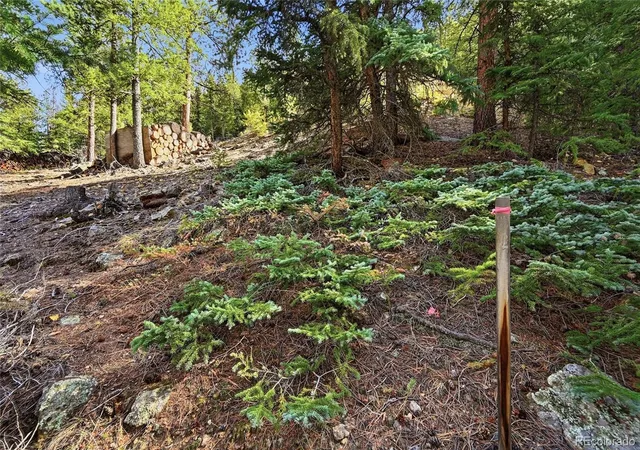 Photo 1 of Land for sale at 2238 Stanley Rd, Dumont, CO | MLS# 4956729 | Listing updated on 2026-09-21