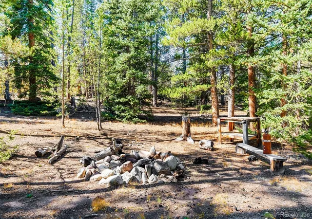 Homes for sale in Fairplay, CO | 30 Serenity Ct, Fairplay, CO 80440 | MLS# 9726798