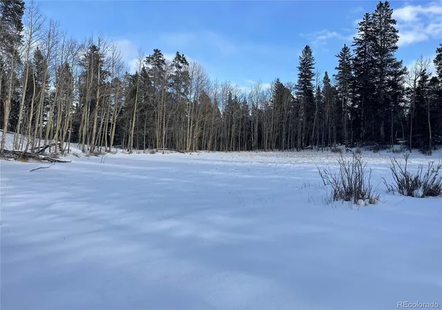 Homes for sale in Fairplay, CO | 30 Serenity Ct, Fairplay, CO 80440 | MLS# 9726798