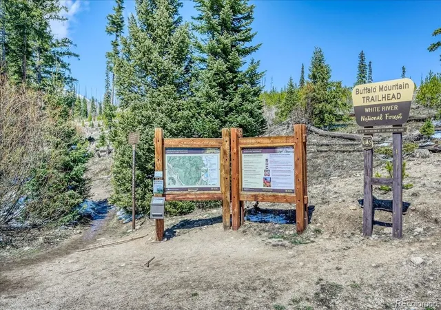 Homes for sale in Silverthorne, CO | 4200 Lodge Pole Circle, Silverthorne, CO 80498 | Houzeo