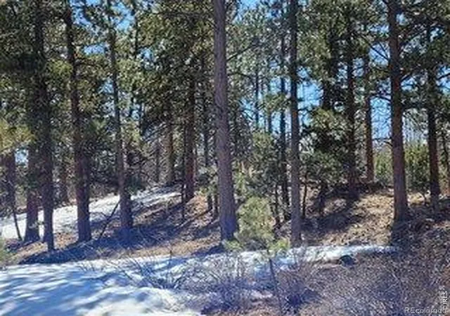 14th image of 1001 Fox Acres Dr E, Red Feather Lakes, CO 80545 | MLS# IR1055782