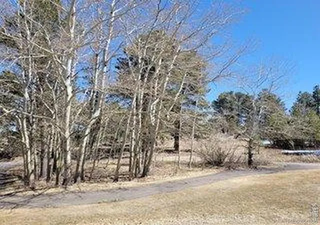 3rd image of 1001 Fox Acres Dr E, Red Feather Lakes, CO 80545 | MLS# IR1055782