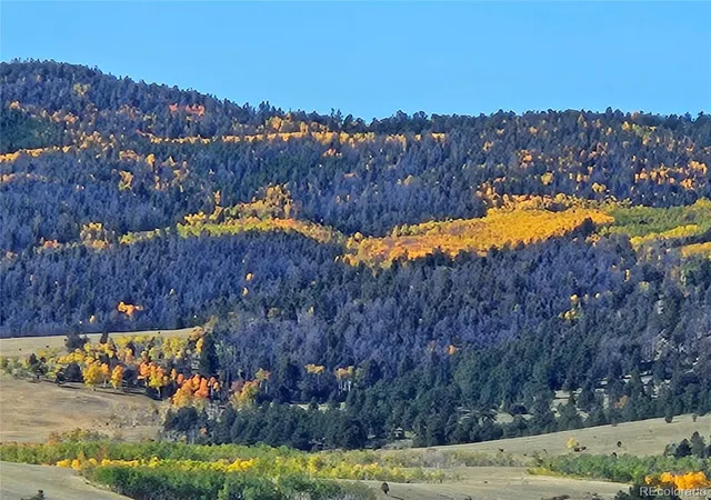50th image of 229 Ladigo Ln, Hartsel, CO 80449 | MLS# 1537942