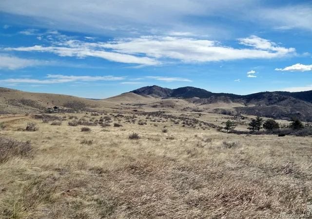 3rd image of 0 Gordon Creek Ln, Livermore, CO 80536 | MLS# IR1055861