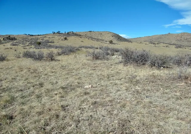 5th image of 0 Gordon Creek Ln, Livermore, CO 80536 | MLS# IR1055861