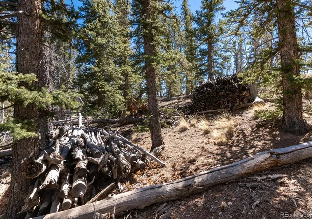 Photo 3 of Land for sale at 683 Latigo Loop, Hartsel, CO 80449 | MLS# 9438881 | Listing updated on 2026-08-27