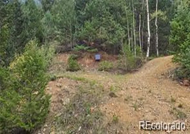 Homes for sale in Dumont, CO | Olympic And Hecla Mines, Dumont, CO 80436 | MLS# 4805713