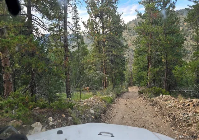 Homes for sale in Dumont, CO | Olympic And Hecla Mines, Dumont, CO 80436 | MLS# 4805713
