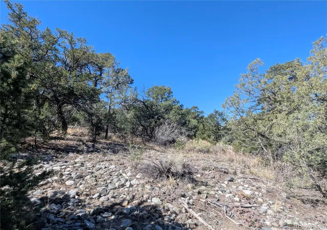 Photo 2 of Sale Pending at 200 Ml Run Rd, Mosca, CO 81146 | MLS# 1672089 | Listing updated on 2026-10-14