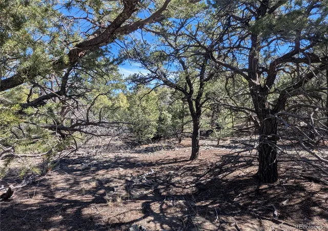 Photo 3 of Sale Pending at 200 Ml Run Rd, Mosca, CO 81146 | MLS# 1672089 | Listing updated on 2026-10-14