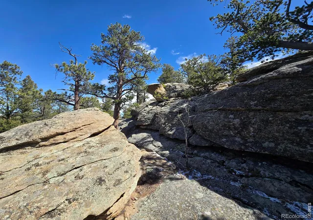 1st image of 0 Sinisippi Rd, Red Feather Lakes, CO 80545 | MLS# IR1055956