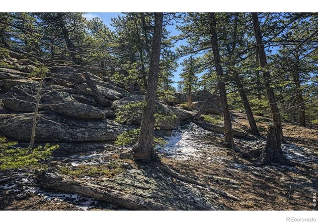 2nd image of 0 Sinisippi Rd, Red Feather Lakes, CO 80545 | MLS# IR1055956