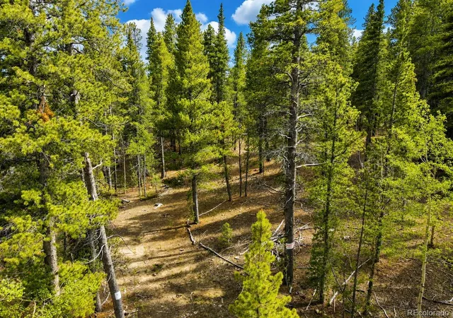 Photo 3 of Land for sale at 0 Georges Way, Alma, CO 80420 | MLS# 7993617 | Listing updated on 2026-07-25