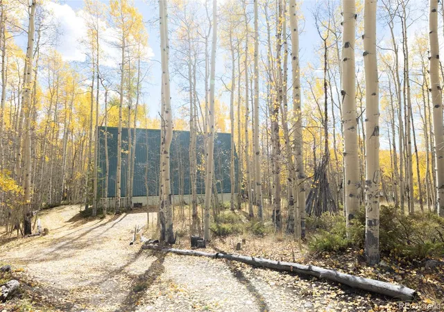 Photo 3 of Single family home for sale at 206 Empire Cir, Leadville, CO 80461 | MLS# 4690793 | Listing updated on 2026-10-14