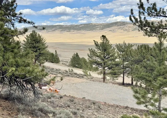 Homes for sale in Fairplay, CO | 3129 Redhill Rd, Fairplay, CO 80440 | MLS# 5183841
