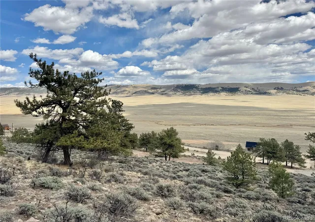 Homes for sale in Fairplay, CO | 3129 Redhill Rd, Fairplay, CO 80440 | MLS# 5183841
