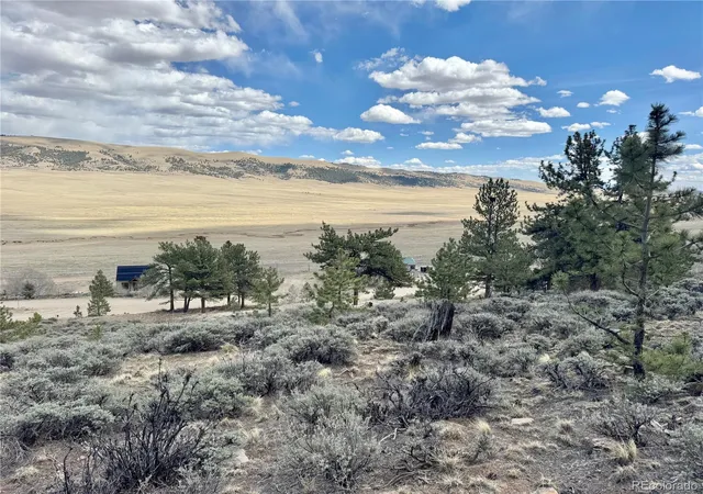 Homes for sale in Fairplay, CO | 3129 Redhill Rd, Fairplay, CO 80440 | MLS# 5183841