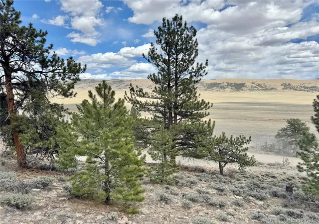 Homes for sale in Fairplay, CO | 3129 Redhill Rd, Fairplay, CO 80440 | MLS# 5183841