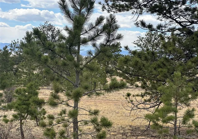 Photo 1 of Land for sale at Chicha Rd, Hartsel, CO 80449 | MLS# 4698522 | Listing updated on 2026-04-09