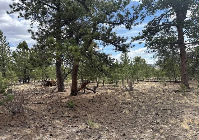 Photo 2 of Land for sale at Chicha Rd, Hartsel, CO 80449 | MLS# 4698522 | Listing updated on 2026-04-09