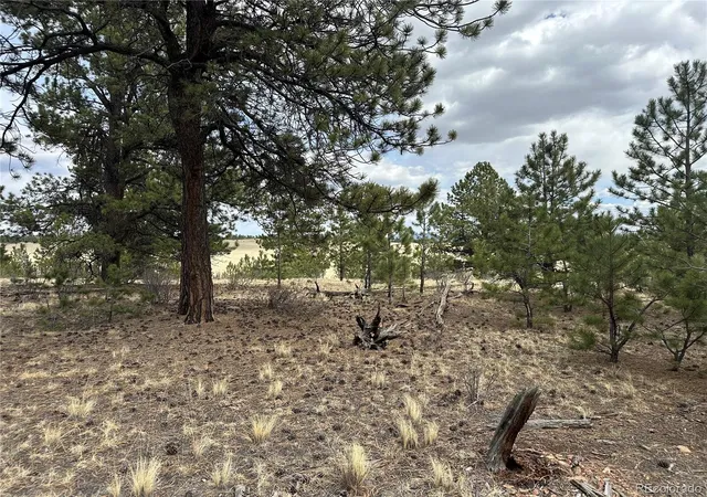 Photo 3 of Land for sale at Chicha Rd, Hartsel, CO 80449 | MLS# 4698522 | Listing updated on 2026-04-09