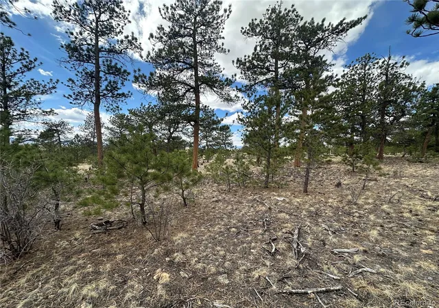 Photo 4 of Land for sale at Chicha Rd, Hartsel, CO 80449 | MLS# 4698522 | Listing updated on 2026-04-09
