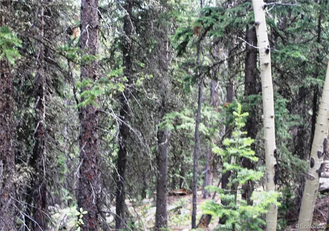 1st image of 00 Hidden Wilderness Rd, Idaho Springs, CO 80452 | MLS# 3171126