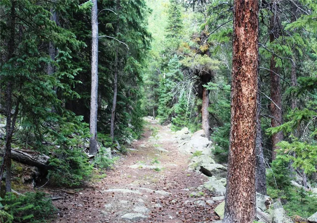 2nd image of 00 Hidden Wilderness Rd, Idaho Springs, CO 80452 | MLS# 3171126