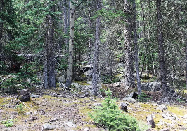 Photo 3 of Land for sale at 00 Hidden Wilderness Rd, Idaho Springs, CO 80452 | MLS# 3171126 | Listing updated on 2026-09-02