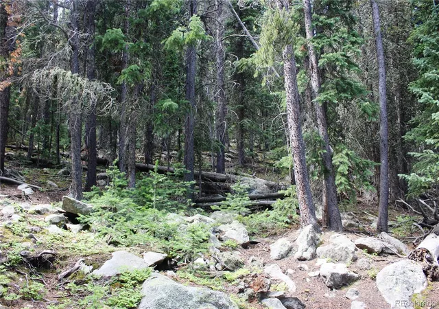 Photo 3 of Land for sale at 00 Hidden Wilderness Rd, Idaho Springs, CO 80452 | MLS# 3171126 | Listing updated on 2026-09-02